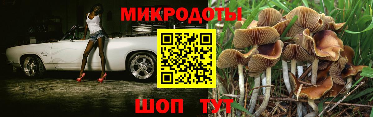 Псилоцибиновые грибы Magic Shrooms  купить   Южноуральск  Вход с VPN 